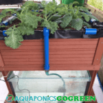 grow bed