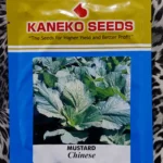 Seeds