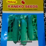 Seeds