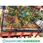 aquaponics starter kit