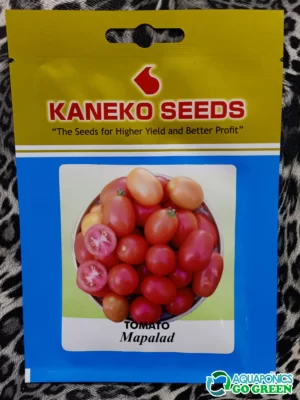 Seeds